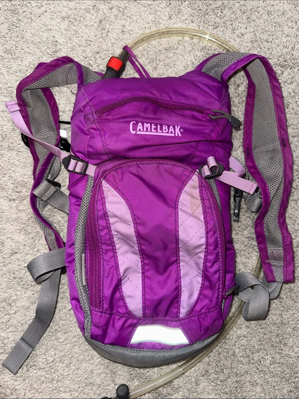 CamelBak Purple and Light Purple Women's Hydration Backpack